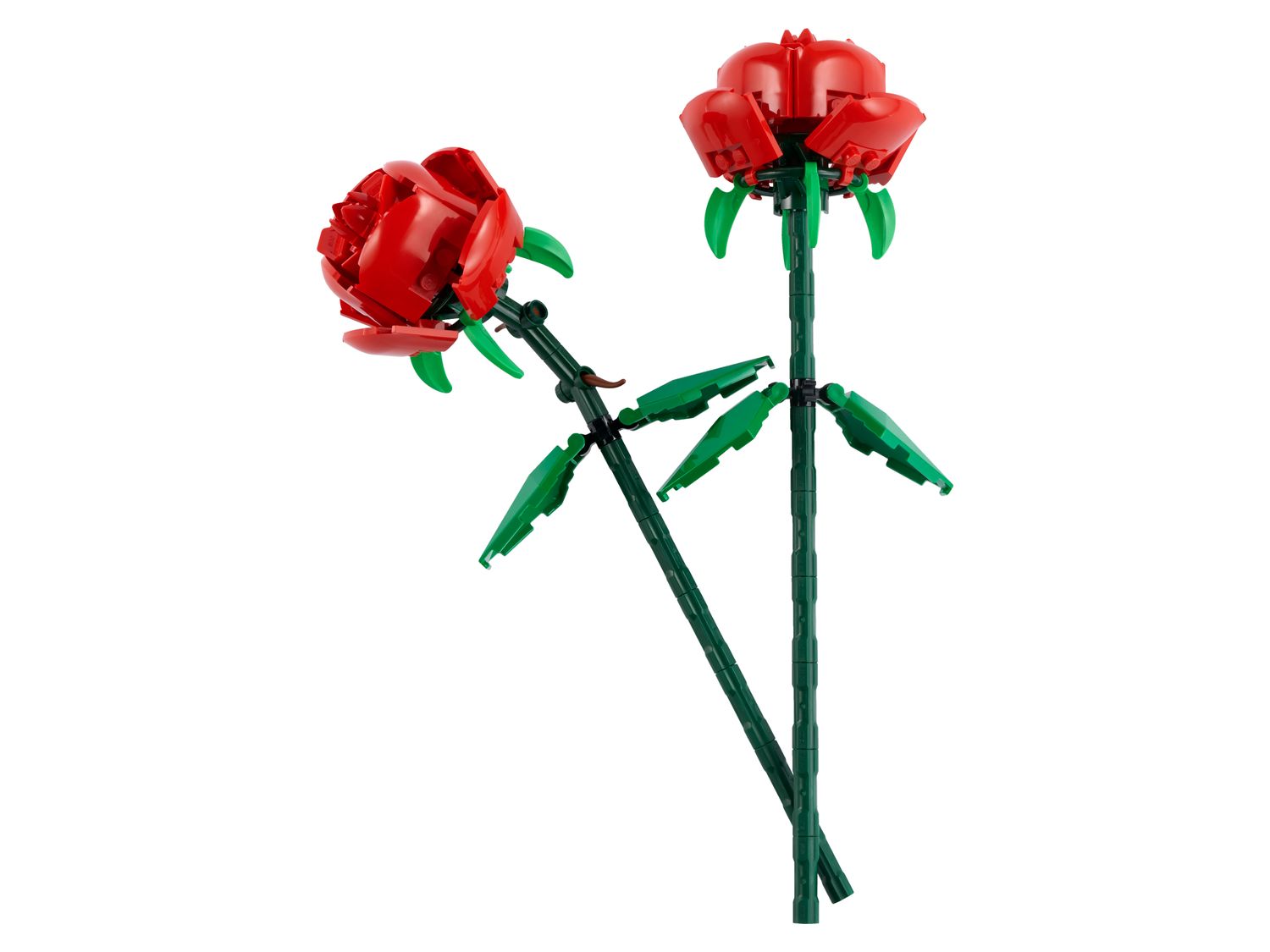 Roses · set 40460